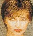 Best Model of the World 1996